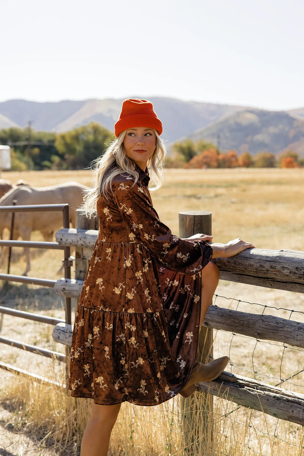 Desert Night Velvet Dress