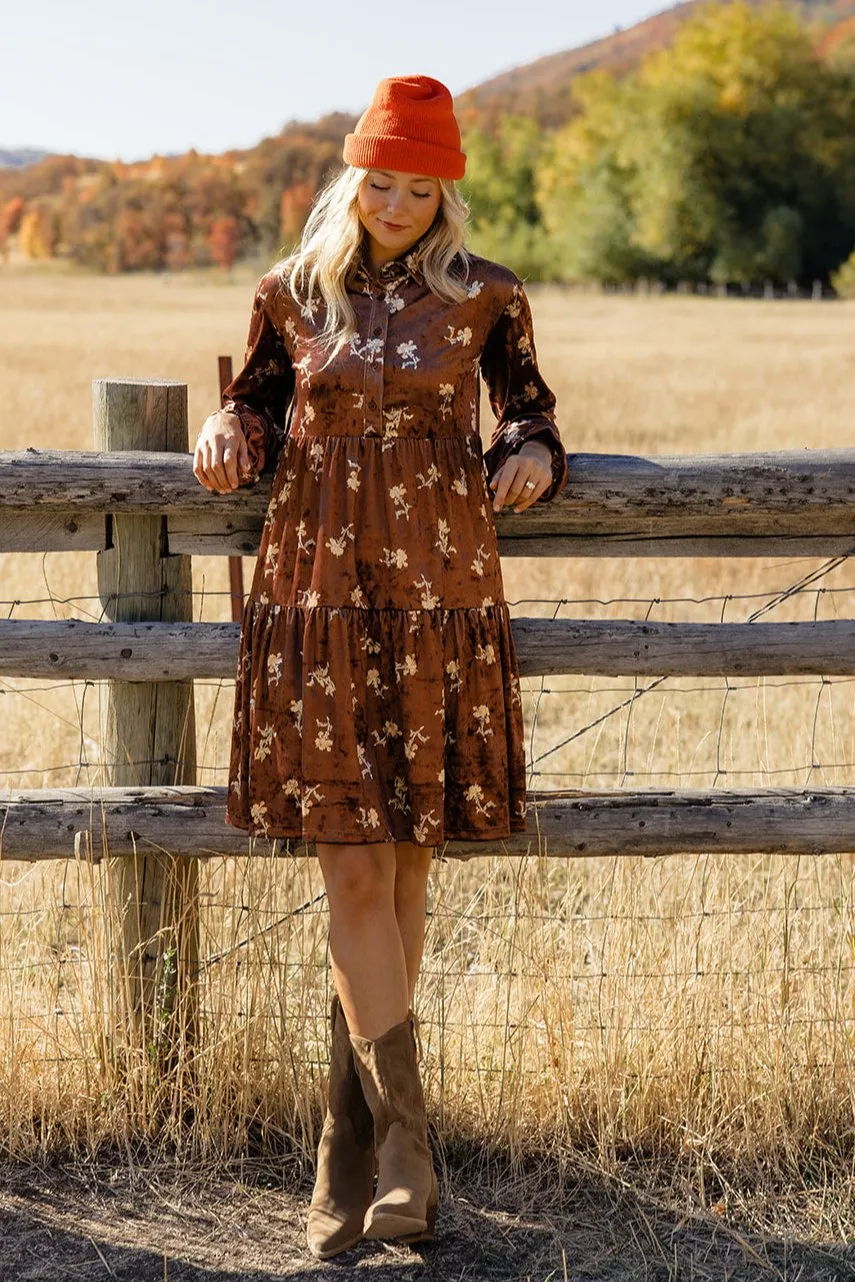 Desert Night Velvet Dress