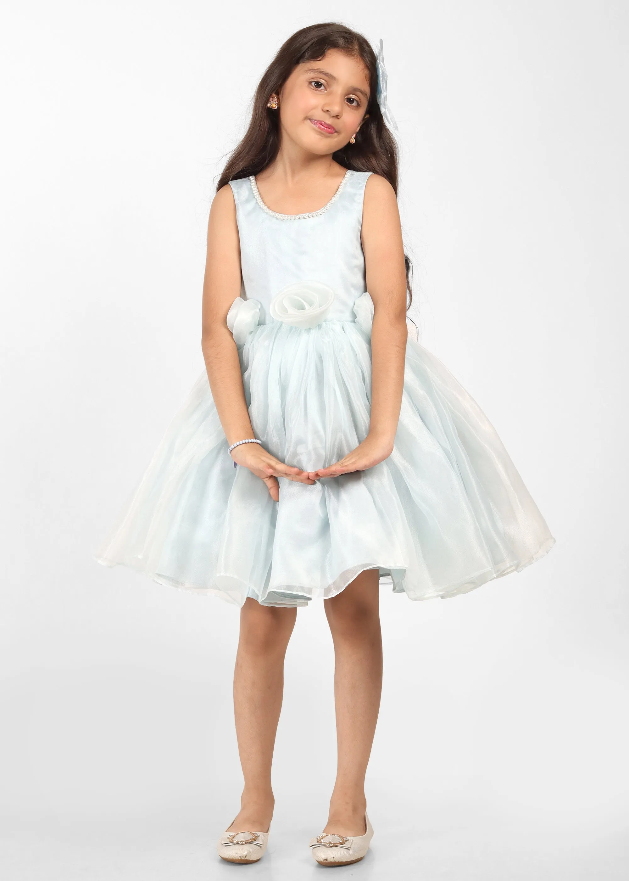 Sky Blue Rose Organza Dress