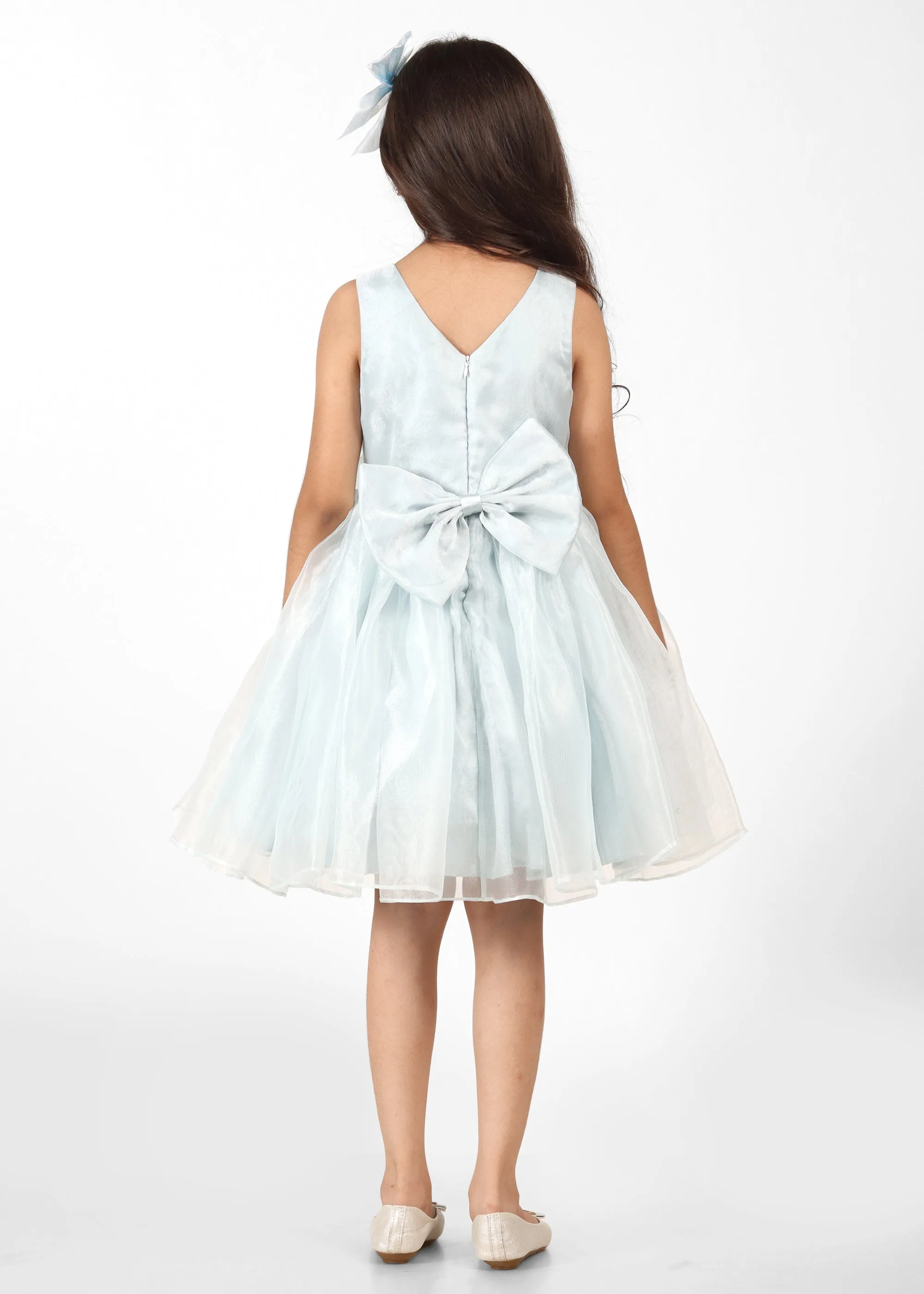 Sky Blue Rose Organza Dress