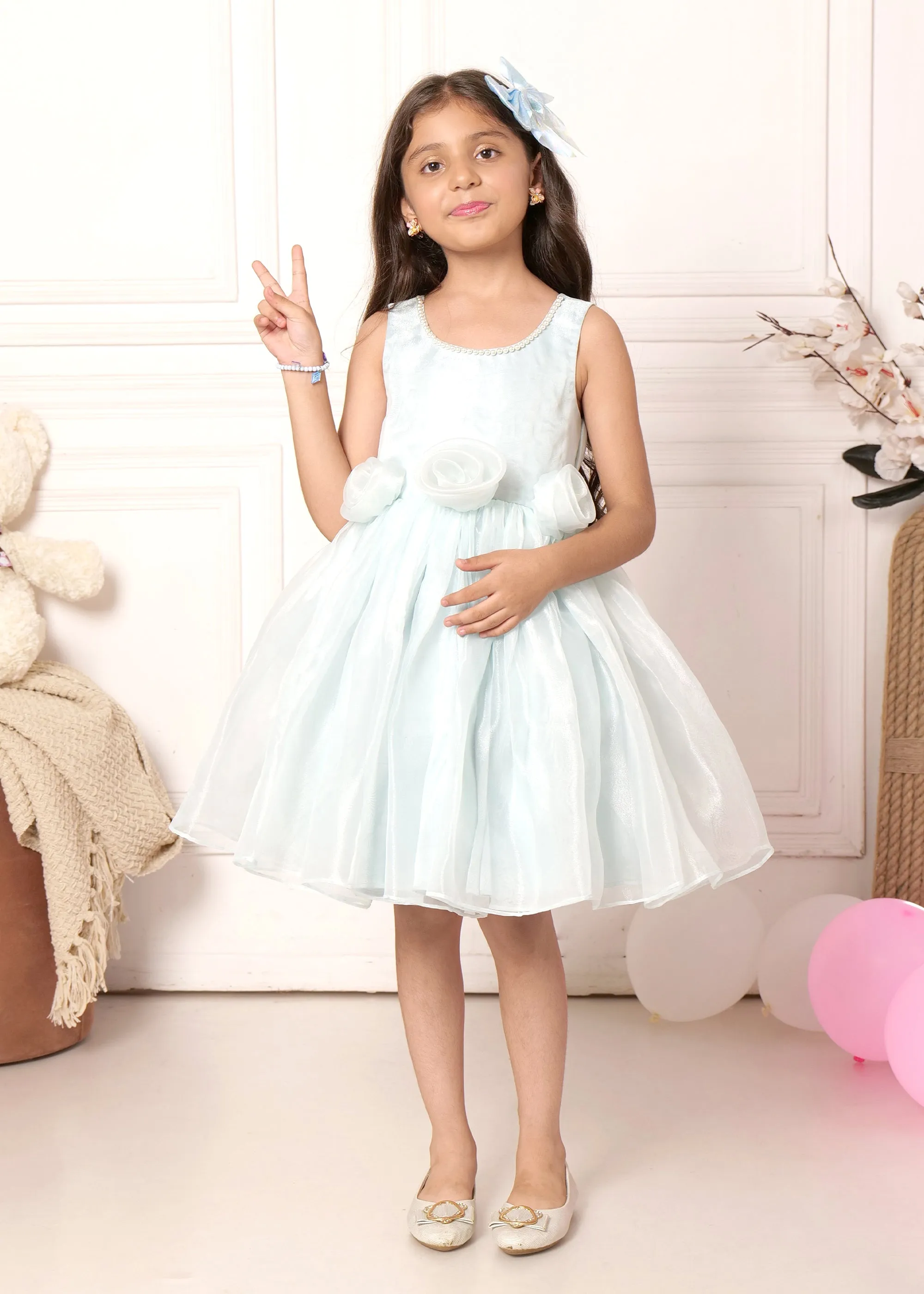 Sky Blue Rose Organza Dress