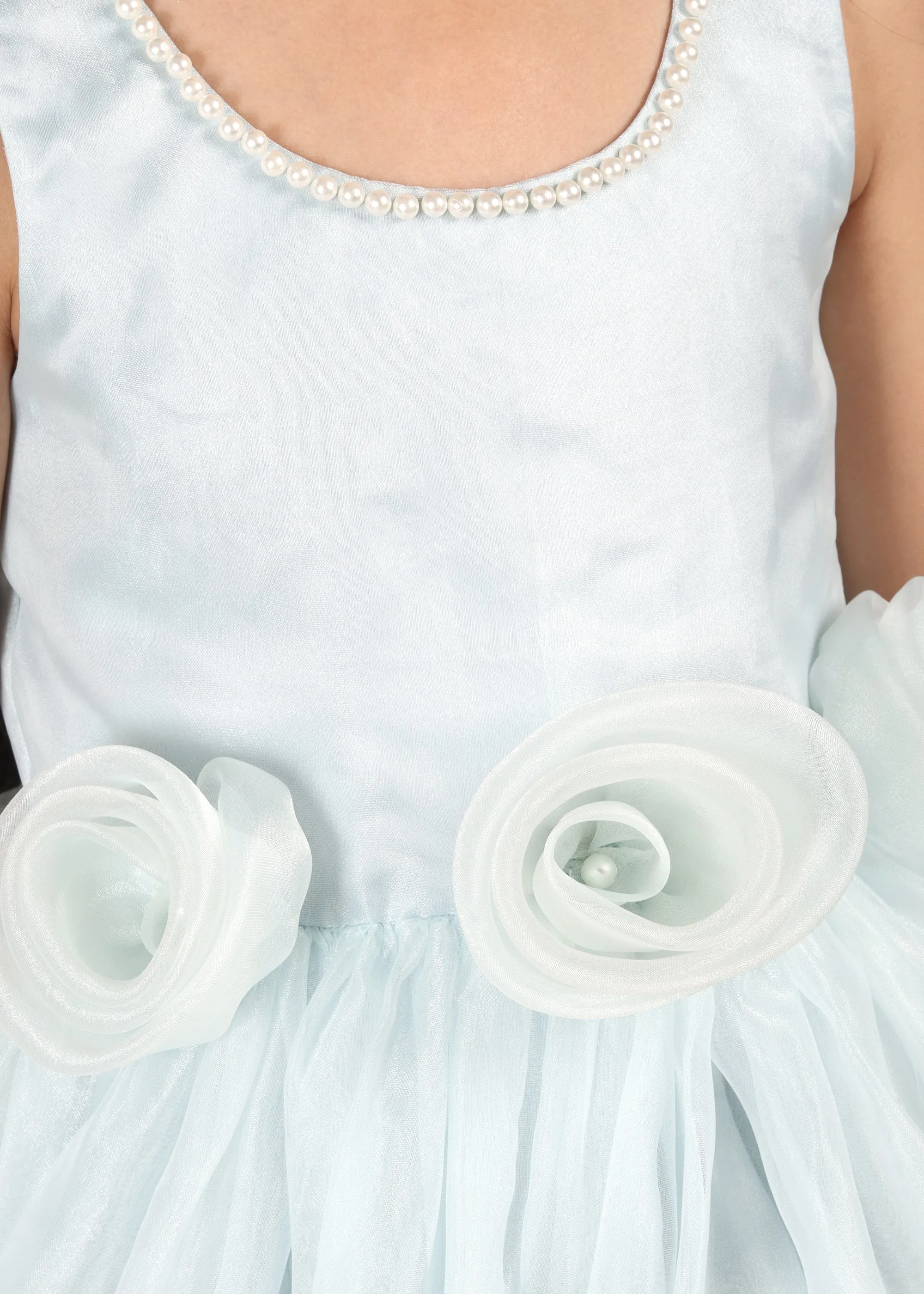 Sky Blue Rose Organza Dress